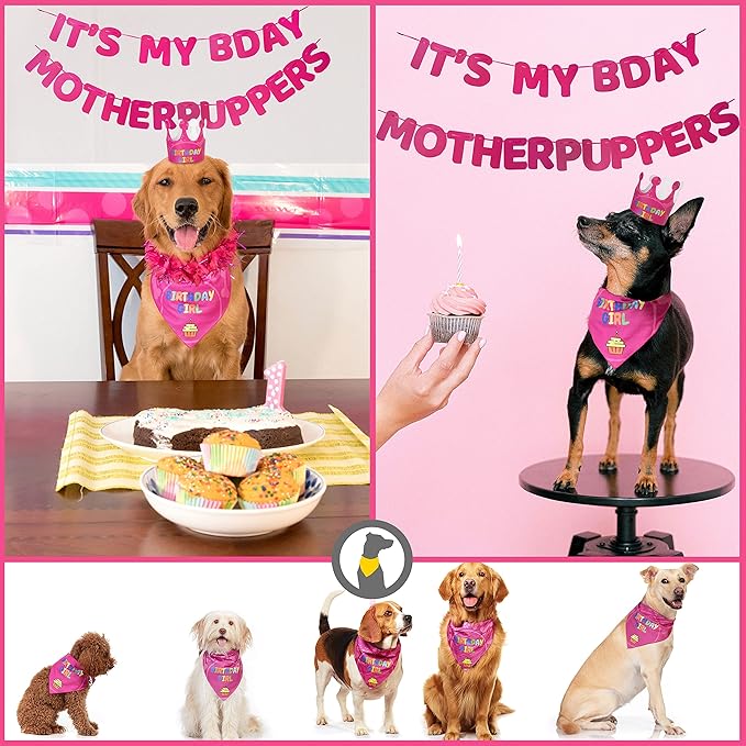 Dog Birthday Party Supplies - Image 3