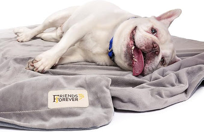 Friends Forever Durable Dog Blanket - Image 6