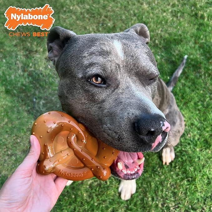Nylabone Pretzel Power Chew Toy - Image 3