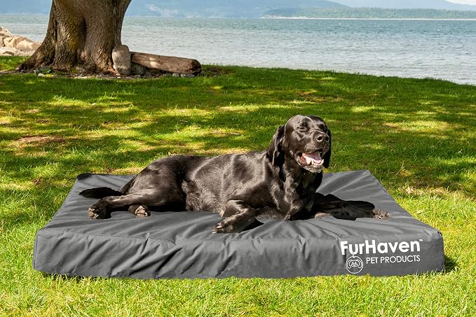 Furhaven Water-Resistant Orthopedic Dog Bed - Image 3