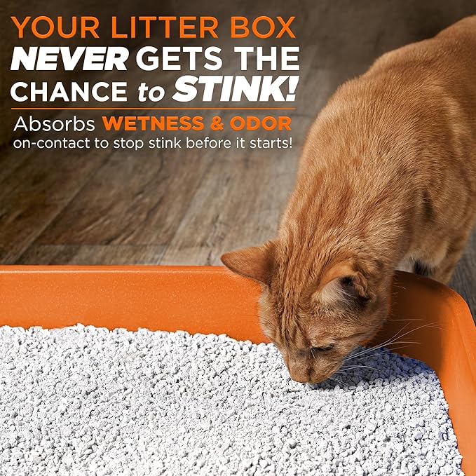 POOPH® LITTERIZER® – 16oz Bottle – Absorbs 46x Weight in Wetness & Odor – Keeps - Image 5