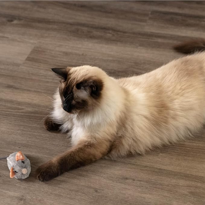 Catstages Squeak Squeak Mouse Cat Toy - Image 7