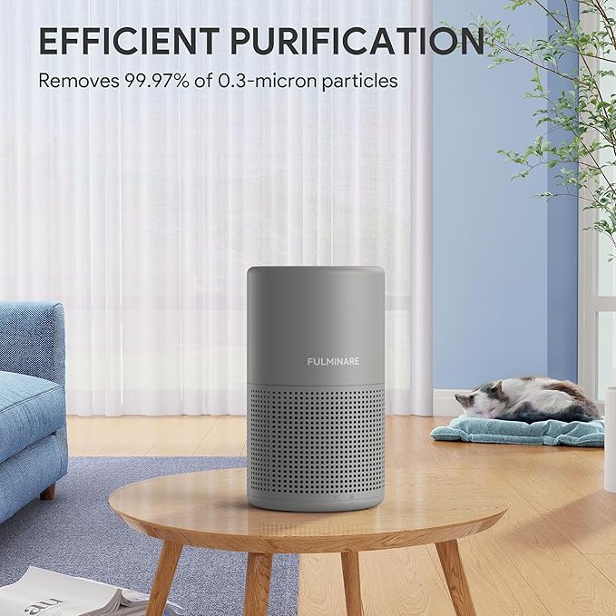 FULMINARE Air Purifiers for Home H13 True HEPA Air Filter Quiet Air Cleaner - Image 3