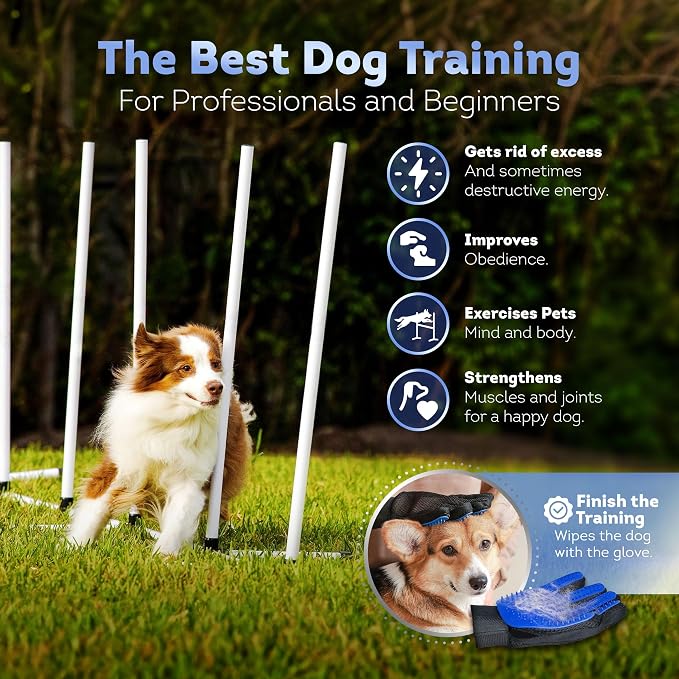 Dog Agility Course Backyard Set, Including Dog Tunnel Bags - Image 5