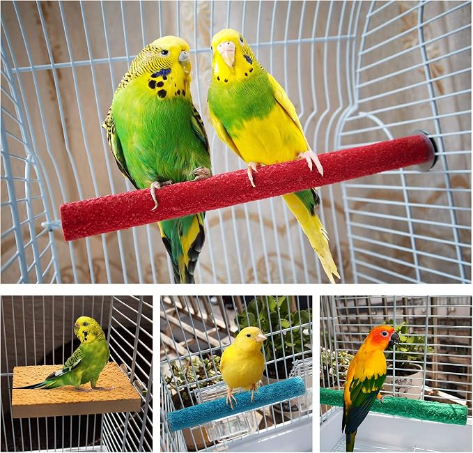Bird Perches for Conure Stand Natural Wood Platform Bird Nail Trimming Perch - Image 6