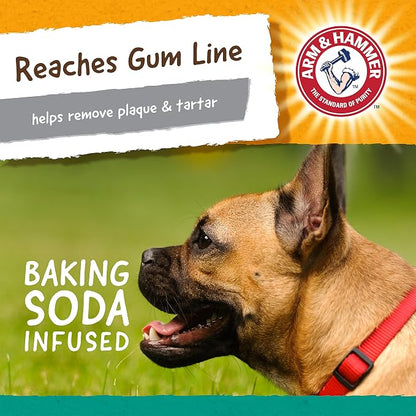 Arm & Hammer Nubbies T-Bone Dental Dog Chew Toy - Image 5