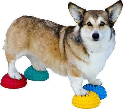 FitPAWS Paw Pods for Dog Agility by FitPaws