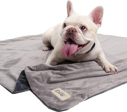 Friends Forever Durable Dog Blanket - Image 2