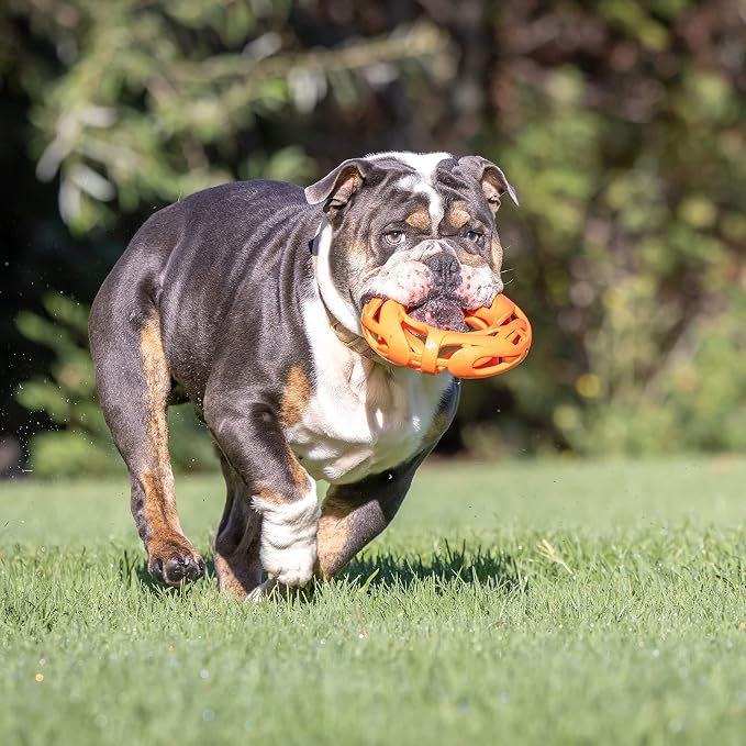 Chuckit! Air Fetch Wheel Dog Toy - Image 7