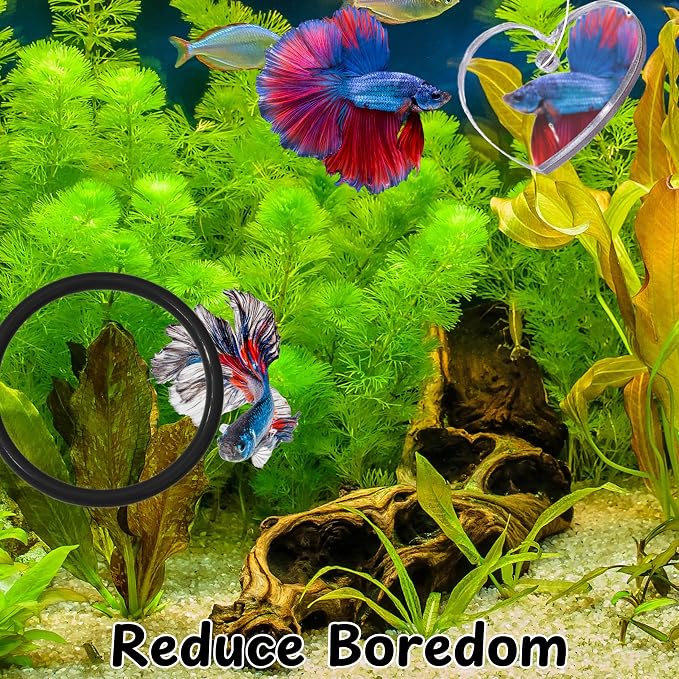 Betta Ring and Mirror Toy for Aquarium, Floating Exercise Mirrors for Fish Tank - Image 4