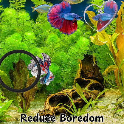Betta Ring and Mirror Toy for Aquarium, Floating Exercise Mirrors for Fish Tank - Image 4