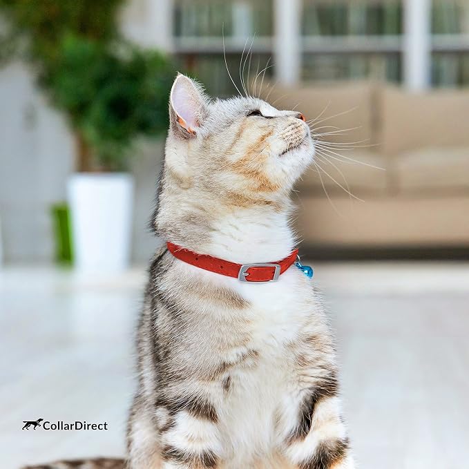 CollarDirect Leather Cat Collar, Cat Safety Collar - Image 7