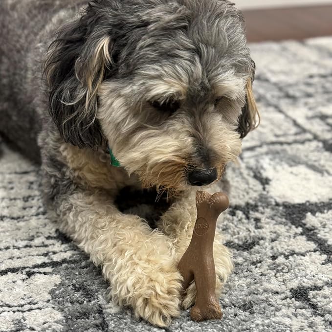 SPOT Bam-Bones Wishbone - Image 5