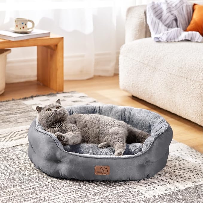 Bedsure Dog Beds for Small Dogs - Image 2