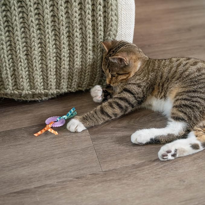 Catstages Kitty Chew Wheel, Dental Cat Toy - Image 7