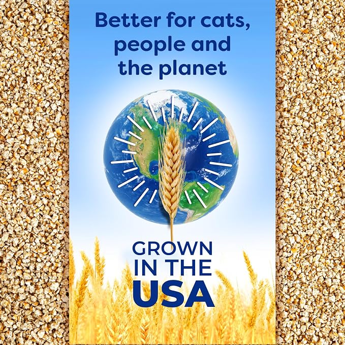sWheat Scoop Natural Wheat Cat Litter, Fast Clumping - Image 8