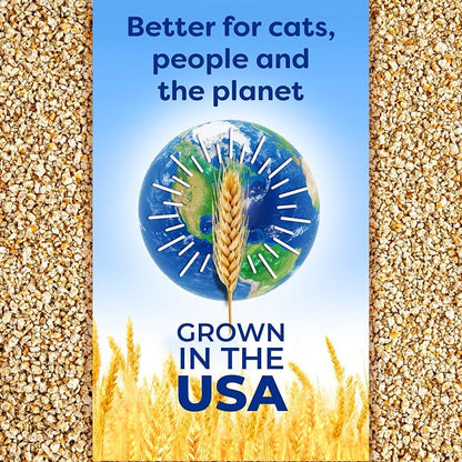 sWheat Scoop Natural Wheat Cat Litter, Fast Clumping - Image 8