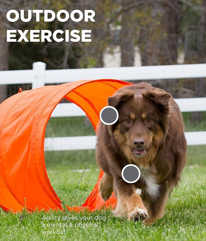 Outward Hound Zip & Zoom Outdoor Dog Agility Training Kit - Image 7
