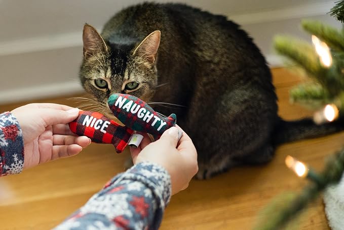 Pearhead Naughty Or Nice Christmas Cat Toy Set, Holiday Pet Owner Gift - Image 6