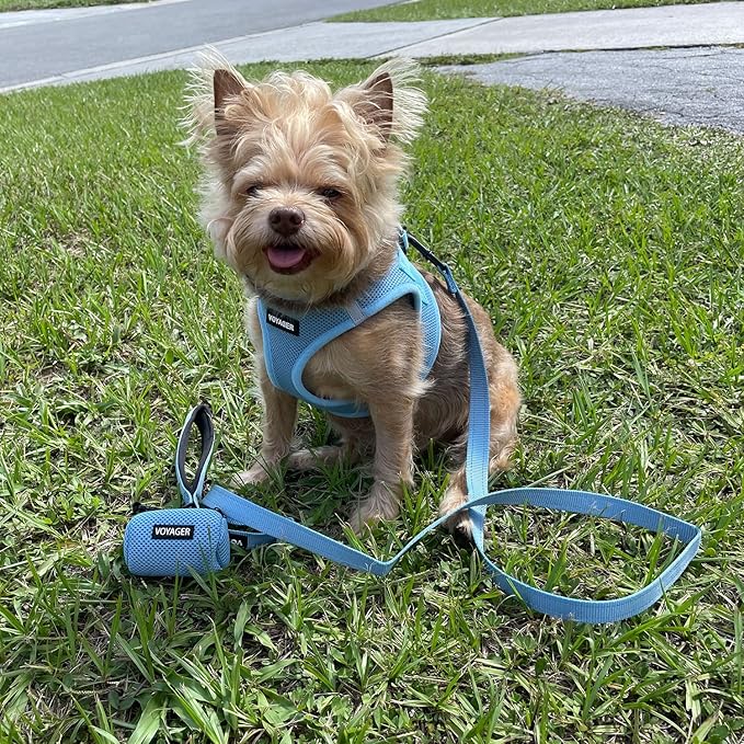 Best Pet Supplies Voyager Reflective Dog Leash or Collar - Image 4