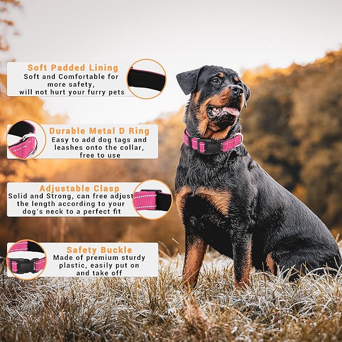 2 Pack Reflective Dog Collar - Image 2
