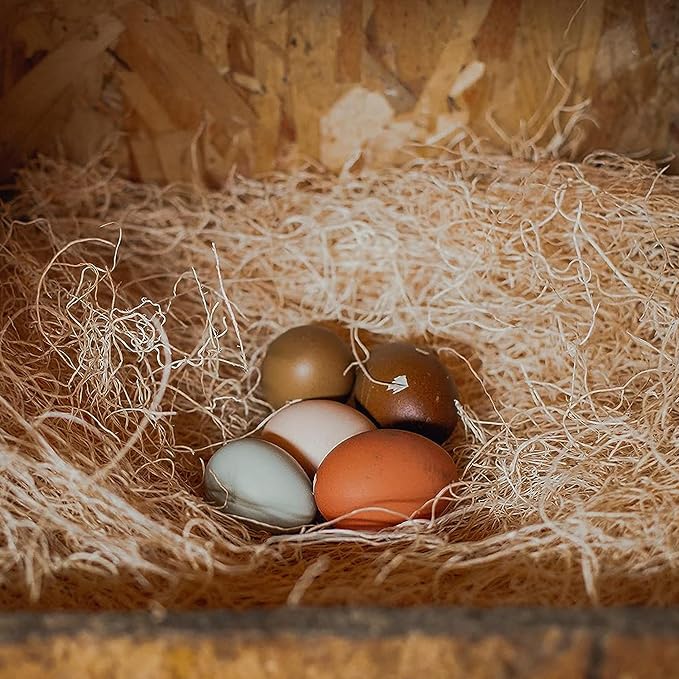 Eaton Pet and Pasture, Premium Laying Hen Nesting Pads, USA Grown & Sustainably - Image 6