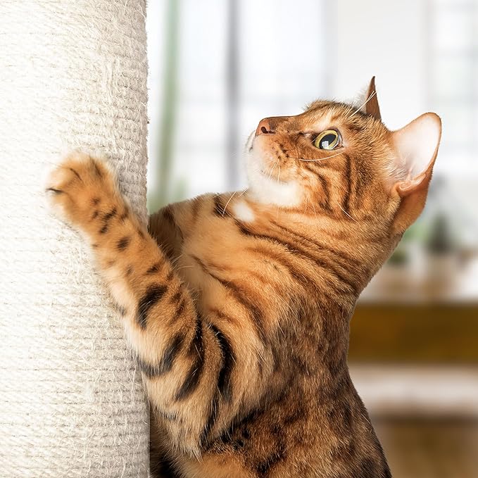 19-Inch Cat Scratching Post - Image 5