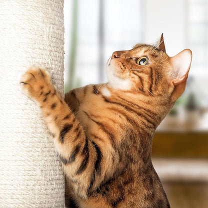 19-Inch Cat Scratching Post - Image 5