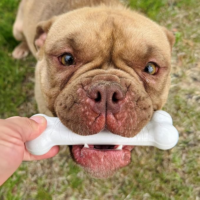 Nylabone Original Bone Power Chew Toy - Image 7