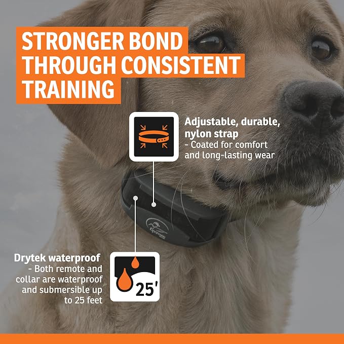 SportDOG FieldTrainer 425X & SportHunter 825X Add-a-Dog Collar - Image 5