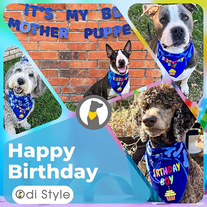 Dog Birthday Bandana - Image 4