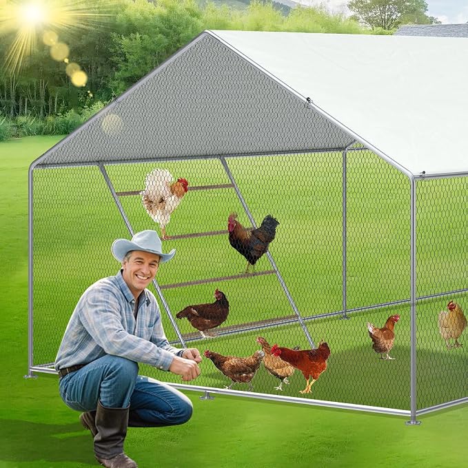 Chicken Perch, Chicken Coop Roosting Perch - Image 2