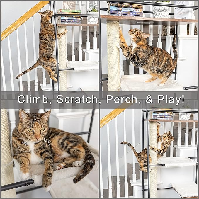 PetFusion VersiCLimb Cat Climber | Multi-Purpose Pet Furniture w/Tall - Image 2