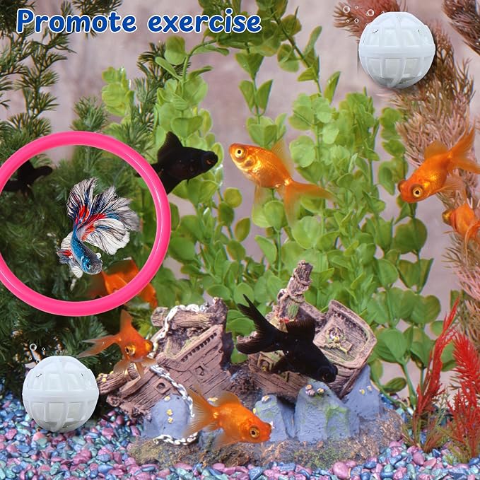 Betta Ring Enrichment Toys - Image 5