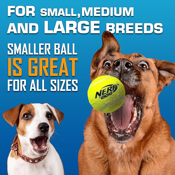 Nerf Dog Tennis Ball Blaster Dog Toy Gift Set, Tennis Ball Dog Fetch Toy - Image 6