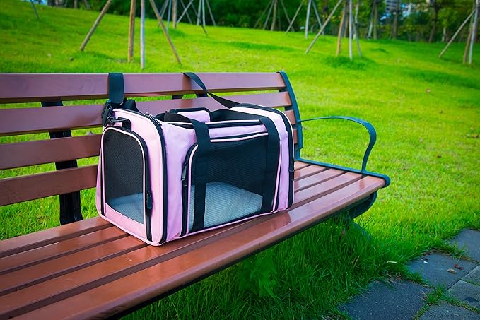 Soft Sided Carrier for Small Medium Cats Dogs, TSA Airline Approved Collapsible - Image 9