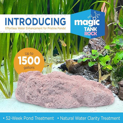 Fish Tank Rocks for Enhancing Water Clarity - Image 2