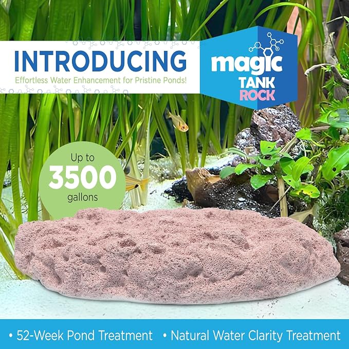Fish Tank Rocks for Enhancing Water Clarity - Image 2