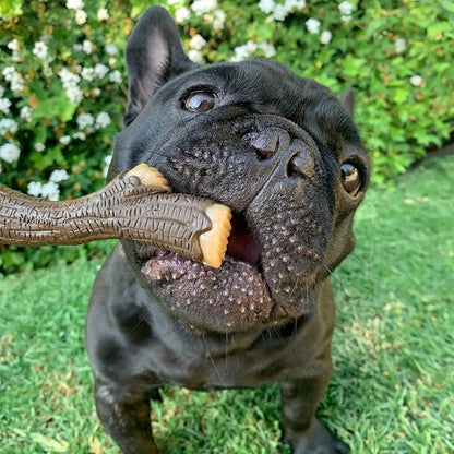 Nylabone Real Wood Stick Toy Strong Chew Toy - Image 2