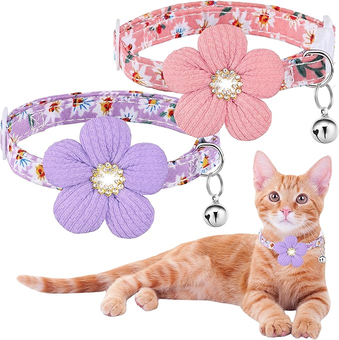 Cat Collar, HYQHYX Breakaway Kitten Collar by HYQHYX