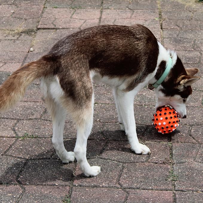 SPOT Vinyl Gumdrop Ball Dog Toy - Image 8