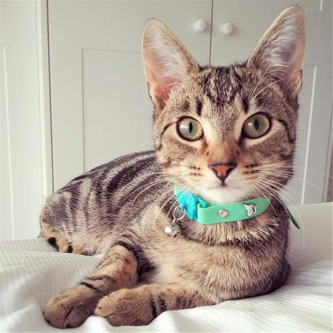 Kittyrama Meadow Cat Collar - Image 4