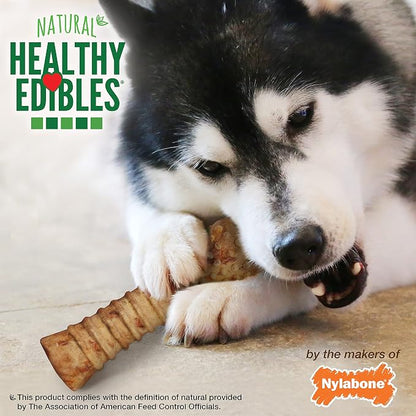Nylabone Healthy Edibles Natural Dog Chews, Long Lasting Bones - Image 6
