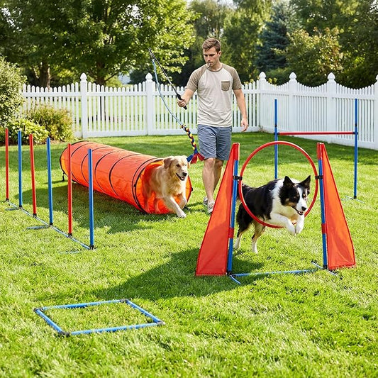 DWVO Dog Agility Accessories Kit: Comprises of a Teaser Pole, 2 Hurdles by DWVO