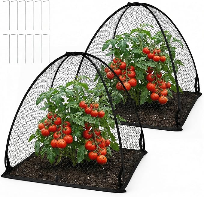 DECOHS 2 Pcs Pop-Up Mesh Plant Cover Tent, Plant Protector Enclosure by DECOHS