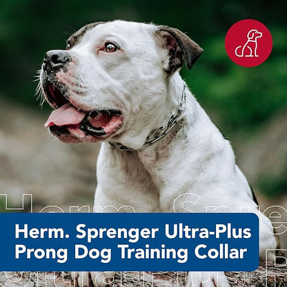 Herm Sprenger Ultra-Plus Prong Dog Training Collar, 3.25 mm x 20" Neck Size; - Image 2