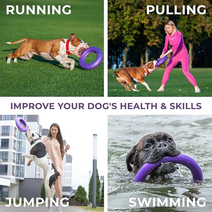 COLLAR Puller Outdoor Ring Toy - Image 4