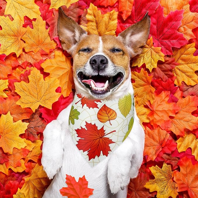 Abbylike 50 Pcs Fall Thanksgiving Dog Maple Leaves Bandanas Bulk Bandanas - Image 4
