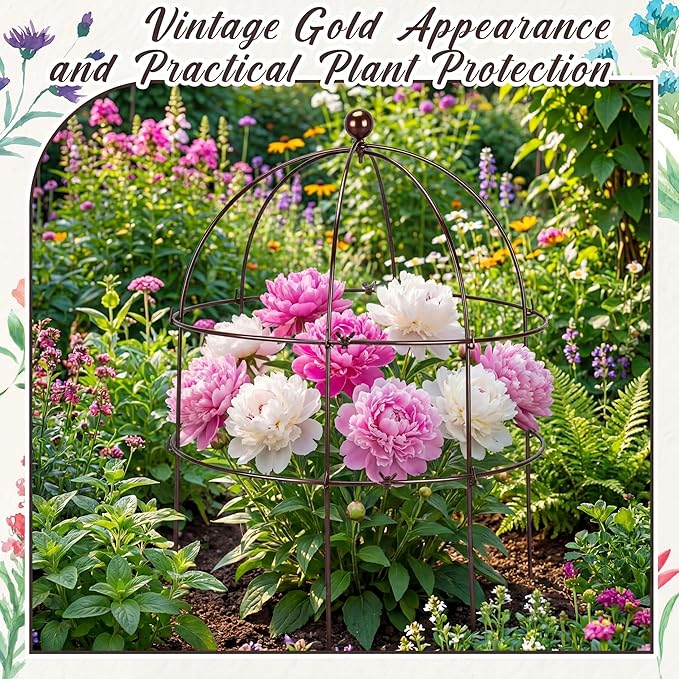 BreezeHug 3 Pack 24 H Peony Cage Climbing Plant Trellis Bird Cage Plant Support - Image 6