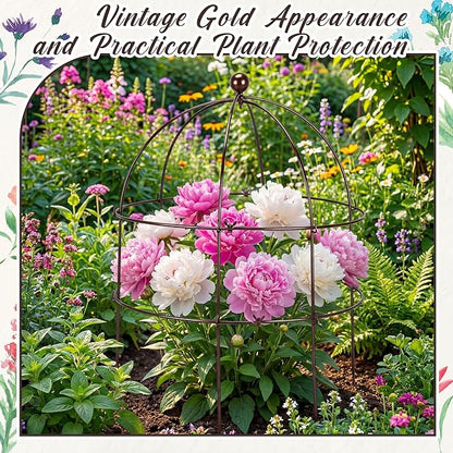 BreezeHug 3 Pack 24 H Peony Cage Climbing Plant Trellis Bird Cage Plant Support - Image 6